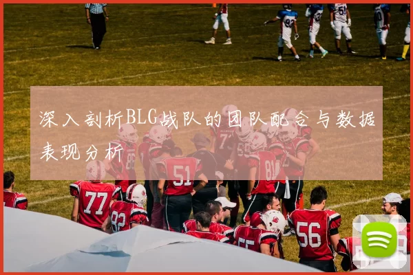 深入剖析BLG战队的团队配合与数据表现分析