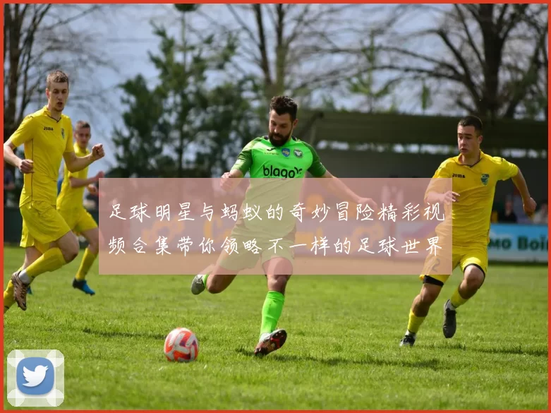 足球明星与蚂蚁的奇妙冒险精彩视频合集带你领略不一样的足球世界