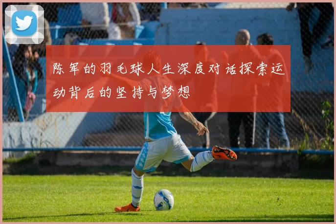 陈军的羽毛球人生深度对话探索运动背后的坚持与梦想