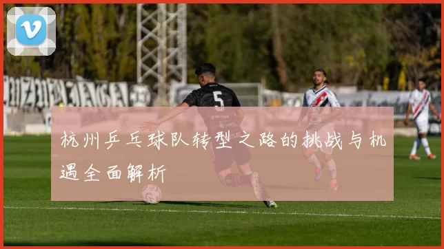 杭州乒乓球队转型之路的挑战与机遇全面解析