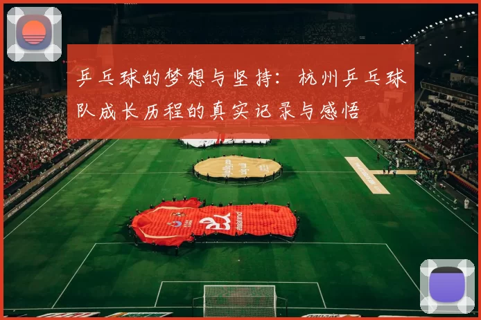 乒乓球的梦想与坚持：杭州乒乓球队成长历程的真实记录与感悟