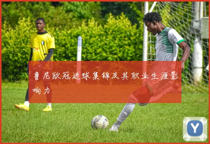鲁尼欧冠进球集锦及其职业生涯影响力