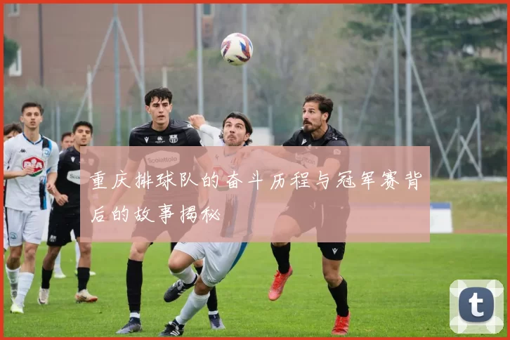 重庆排球队的奋斗历程与冠军赛背后的故事揭秘