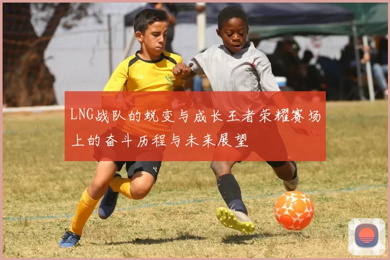 LNG战队的蜕变与成长王者荣耀赛场上的奋斗历程与未来展望