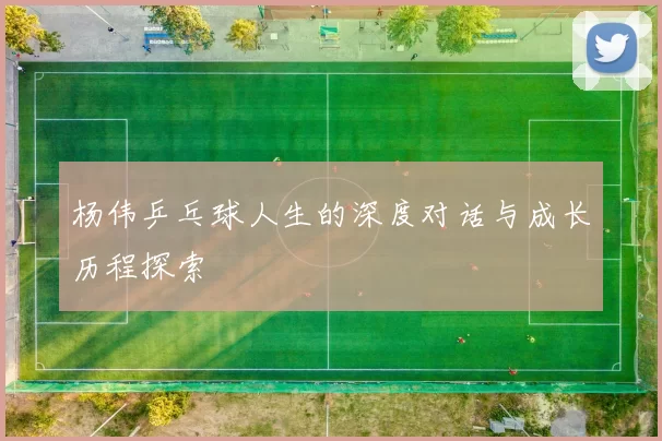 杨伟乒乓球人生的深度对话与成长历程探索