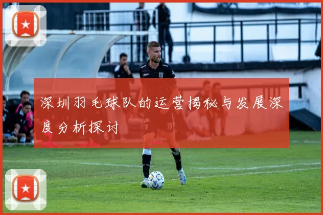 深圳羽毛球队的运营揭秘与发展深度分析探讨