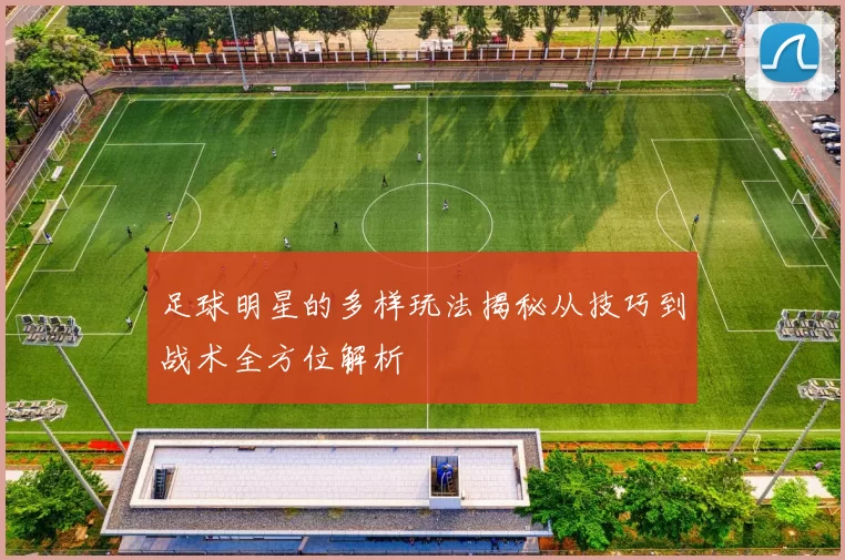 足球明星的多样玩法揭秘从技巧到战术全方位解析