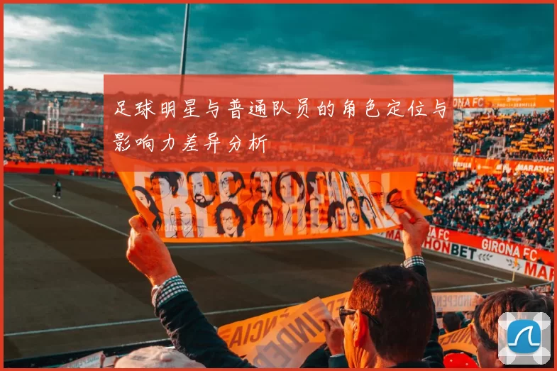 足球明星与普通队员的角色定位与影响力差异分析