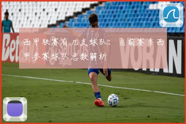 西甲联赛有几支球队：当前赛季西甲参赛球队总数解析