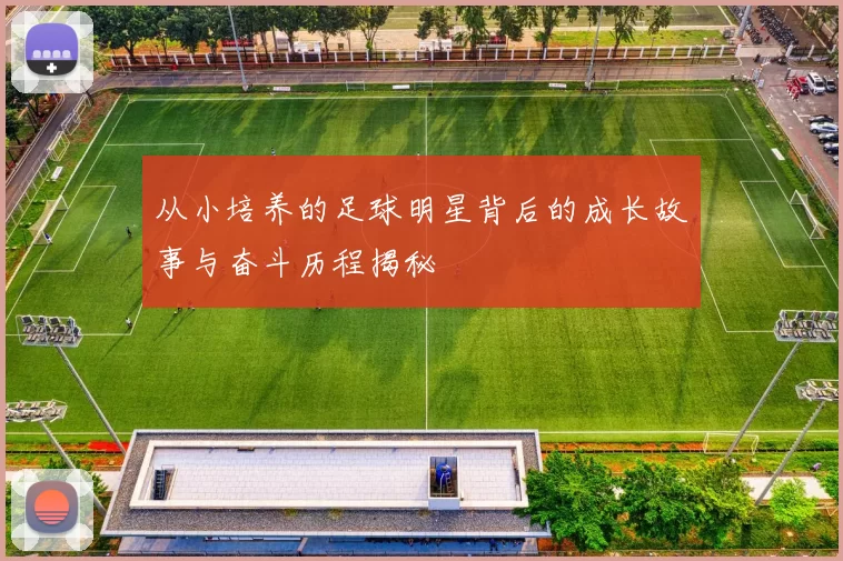 从小培养的足球明星背后的成长故事与奋斗历程揭秘