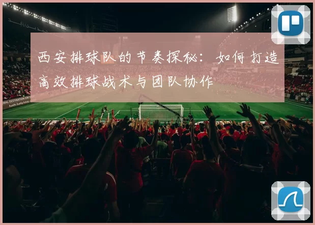 西安排球队的节奏探秘：如何打造高效排球战术与团队协作