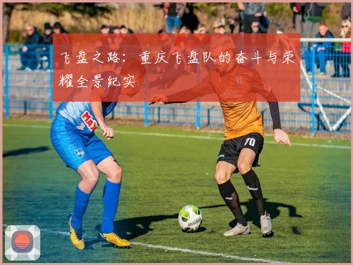 飞盘之路：重庆飞盘队的奋斗与荣耀全景纪实