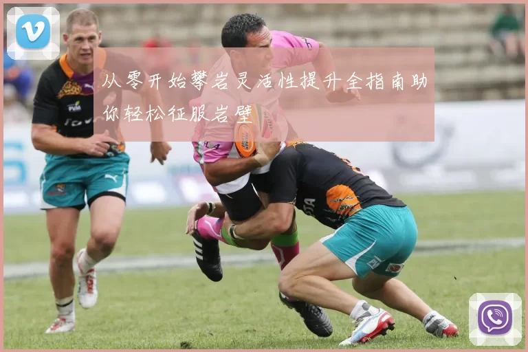 从零开始攀岩灵活性提升全指南助你轻松征服岩壁