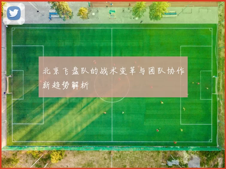 北京飞盘队的战术变革与团队协作新趋势解析